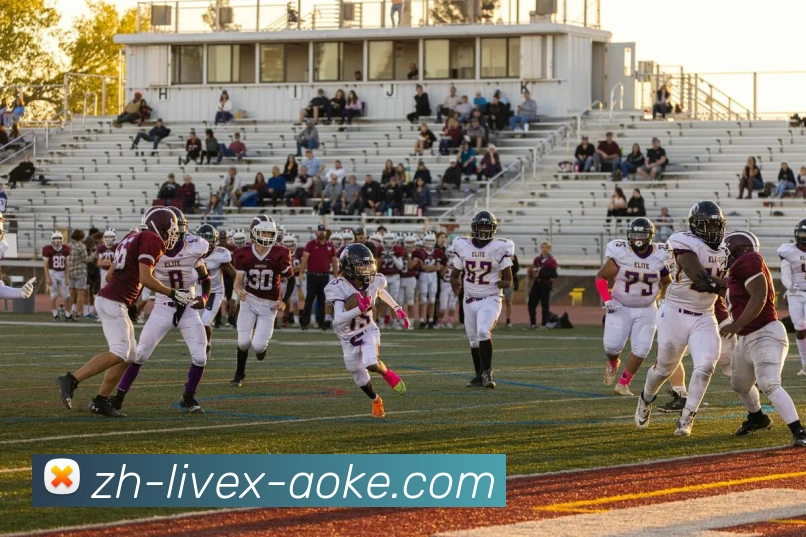 数据防护可视化